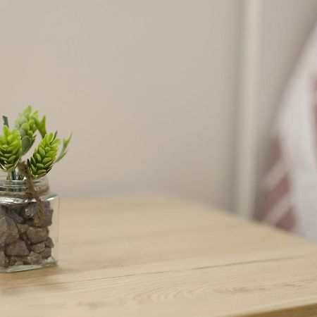 Casa Vacanze Il Confetto Сулмона Екстериор снимка